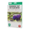 Luumukääriäisansa 2-pack | Pestis Protect®