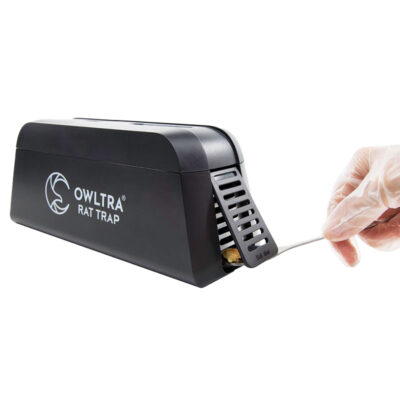 Sähköinen hiiri-:rottaloukku | OWLTRA® houkutinlintu