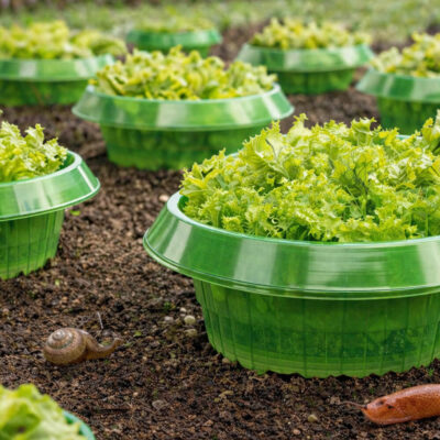 Etanapato | Suojaa viljelykset 5 kpl Ympäristö