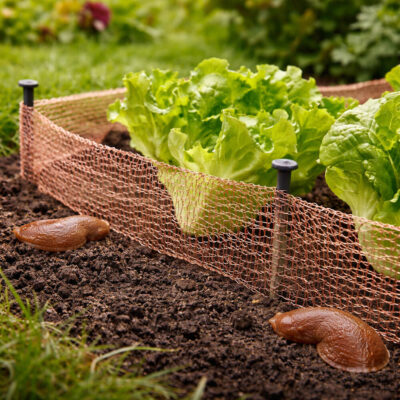 Etanastop Kupariverkko | 6 m x 10 cm Ympäristö