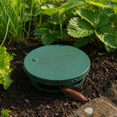 Syöttöasema 5 pakkaus | Pestis Protect® ympäristö